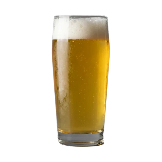 Martin's American Lager Recipe Kit