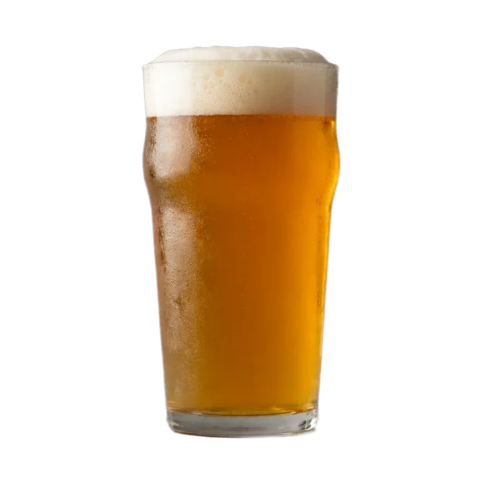 Martin's English IPA Recipe Kit