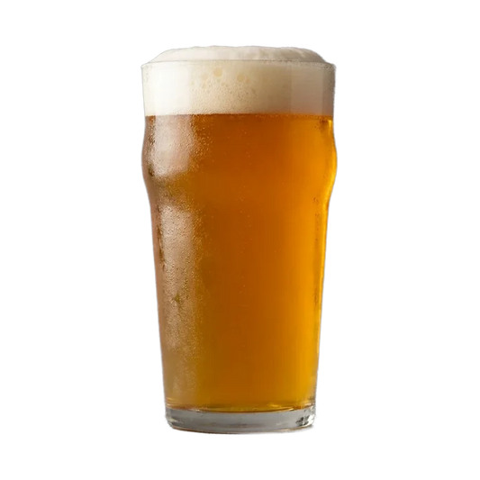 Martin's English IPA Recipe Kit