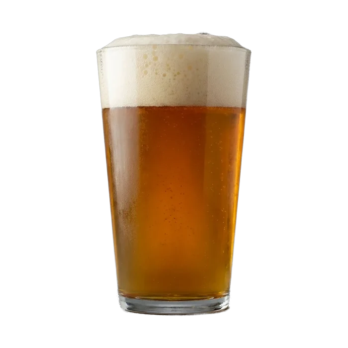 Martin's Expensive IPA Recipe Kit