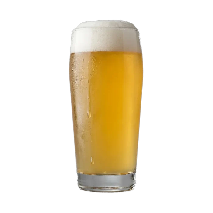 Martin's Flora Gose Recipe Kit