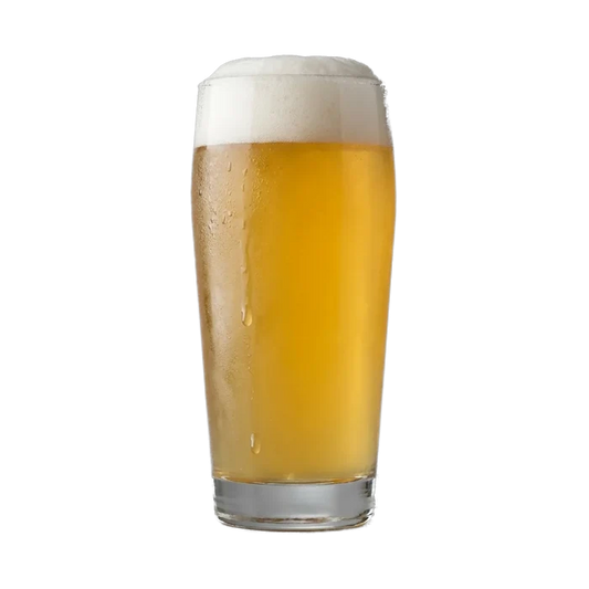 Martin's Flora Gose Recipe Kit