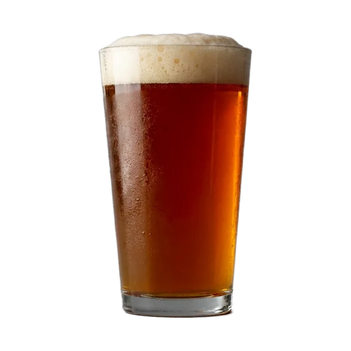 Martin's Pumpkin Beer Recipe Kit