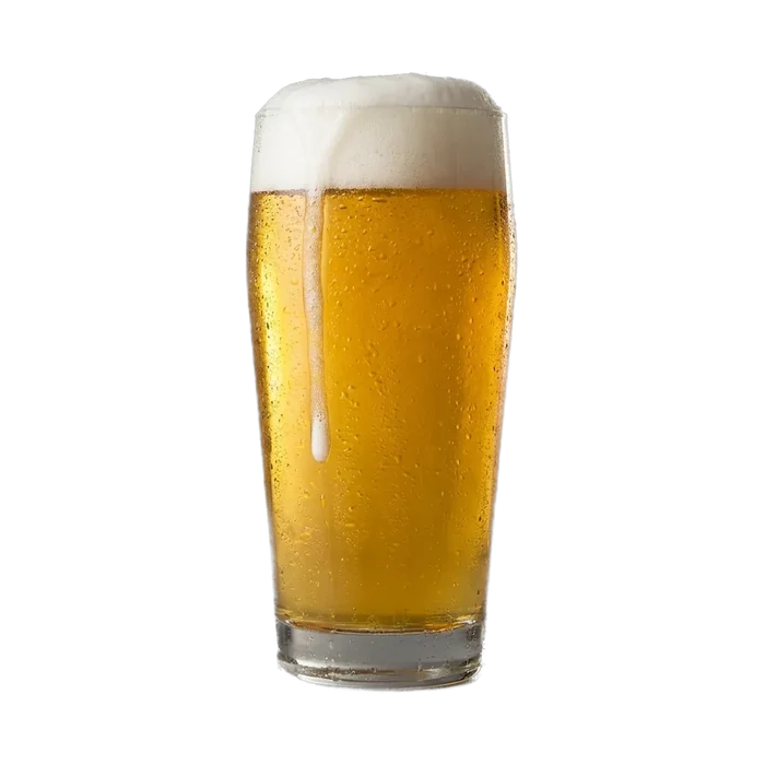 Martin's Recycled Water German Helles Recipe Kit