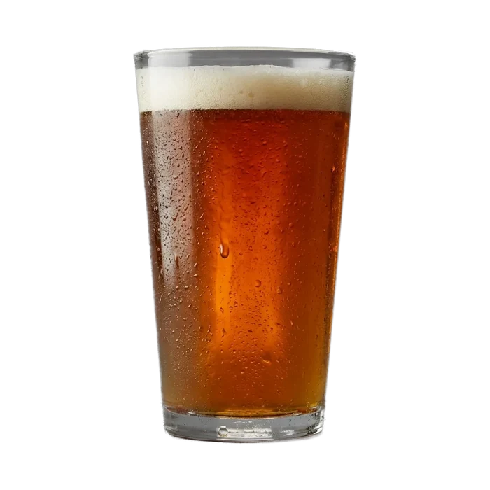 Martin's Rye IPA Recipe Kit
