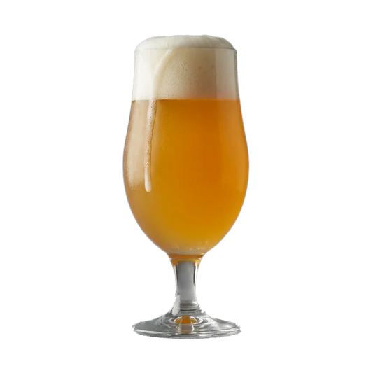Martin's Tropical Pale Ale with Steam Hops Recipe Kit