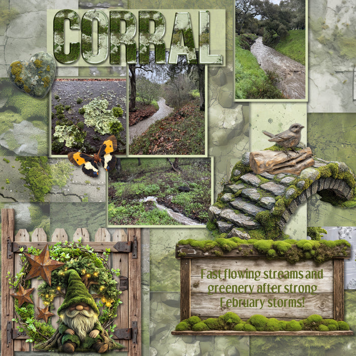 Create beautiful secret garden pages with this realistic bundle filled with embellishments, papers, clusters, and mossy alpha set by Lucky Girl Creative digital art. Embellishments include bunny rabbit, groundhog, mole, raccoon, squirrel, stone arch, moss, bird, statue, bird feeder, bird bath, bird cage, bird house, bridge, column, door, fleur de lis, frame, gnome, greenhouse, heart, butterfly, Chrysalis, caterpillar, cicada, bug, insect, dragonfly, firefly, beetle, termite, key, lantern, mushroom, picnic.