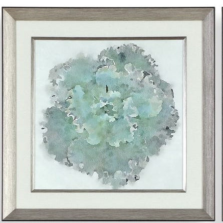 Natural Beauties Framed Prints