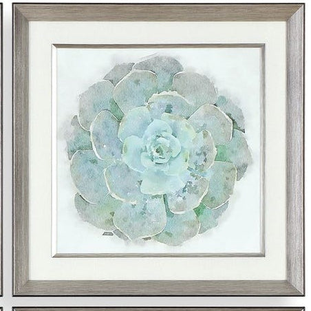 Natural Beauties Framed Prints