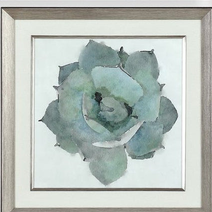 Natural Beauties Framed Prints