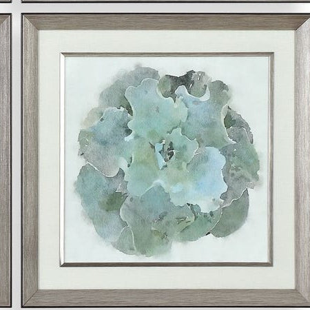 Natural Beauties Framed Prints