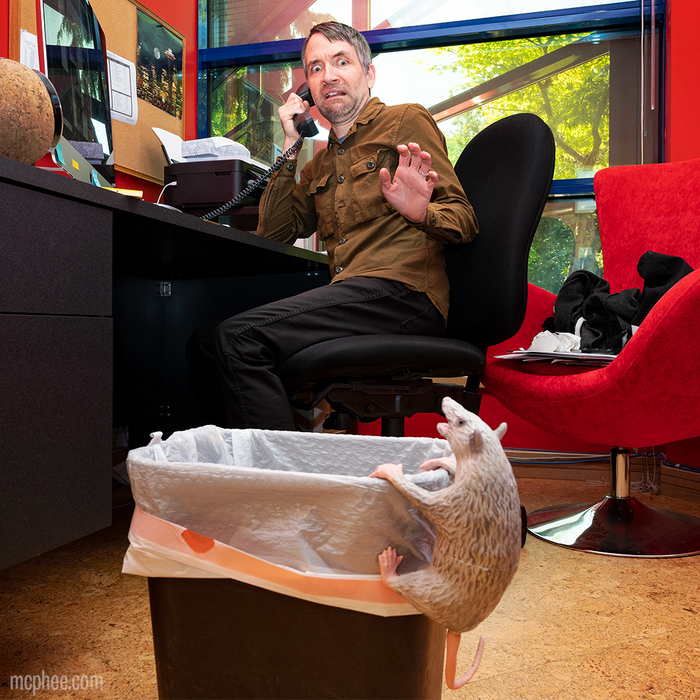 A person was taken aback when an Office Possum, known for its posable paws, suddenly appeared from a trash can in the office.