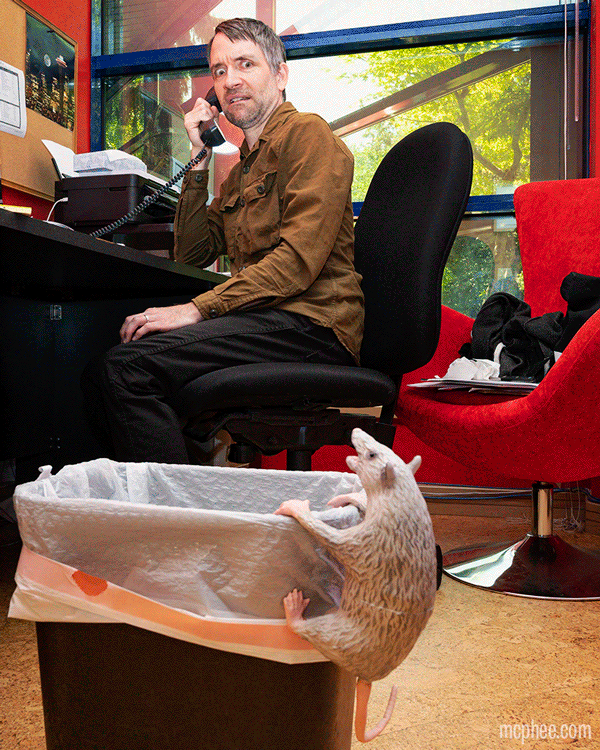 A man on the phone looks surprised as an illustrated box reveals an Office Possum, a stuffed latex possum peering out from a trash can in an office.