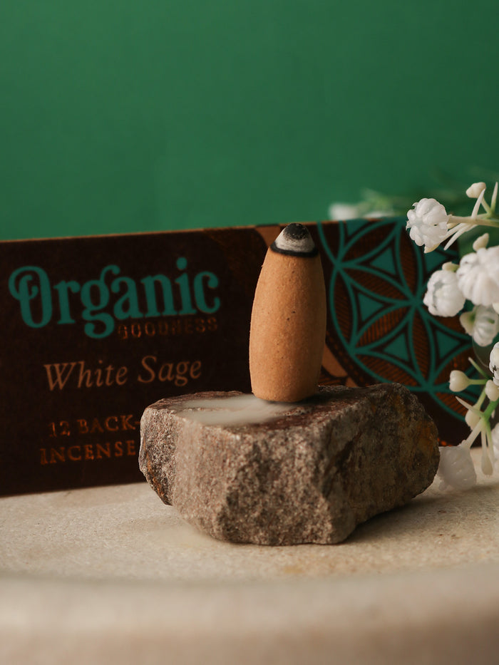 Organic Goodness Backflow Cones | White Sage-Image 1