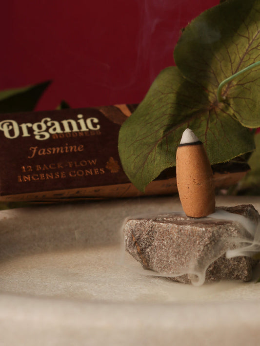 Organic Goodness Backflow Cones | Jasmine-Image 1