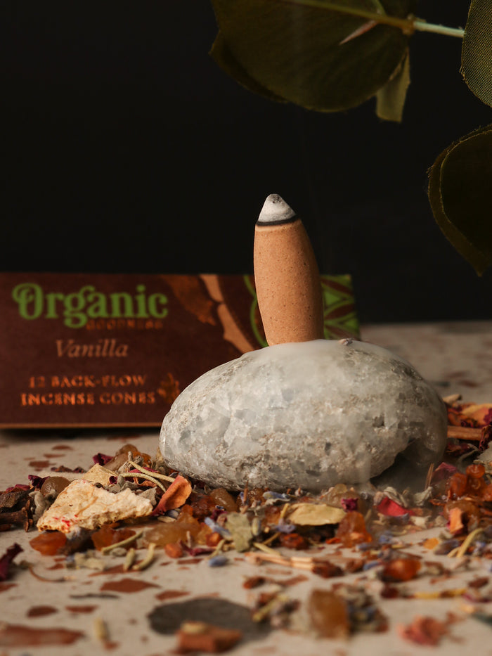 Organic Goodness Backflow Cones | Vanilla-Image 1