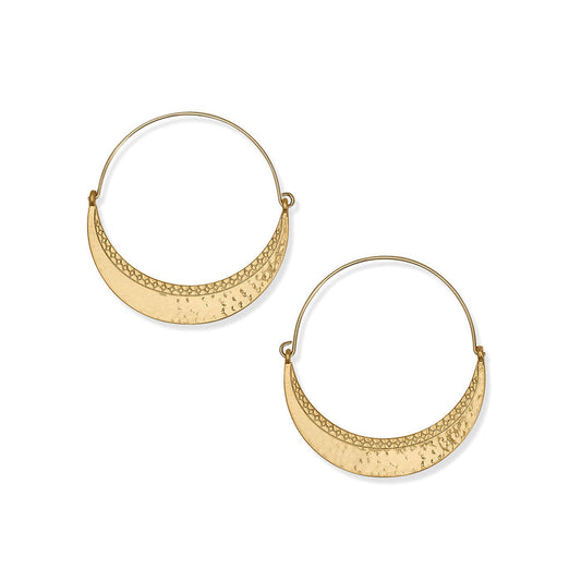 Palm Canyon Large Hoop Earrings/gold