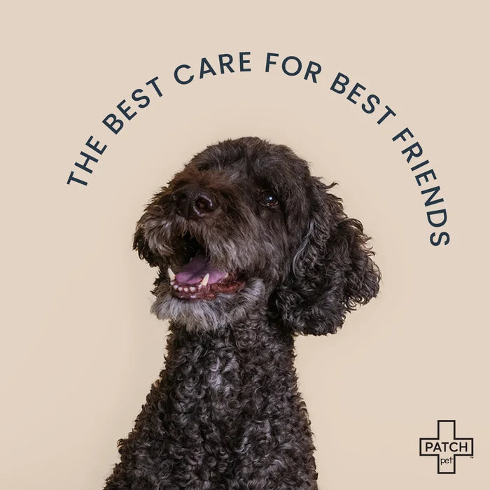 PATCH Pet Eco First-Aid Kit
