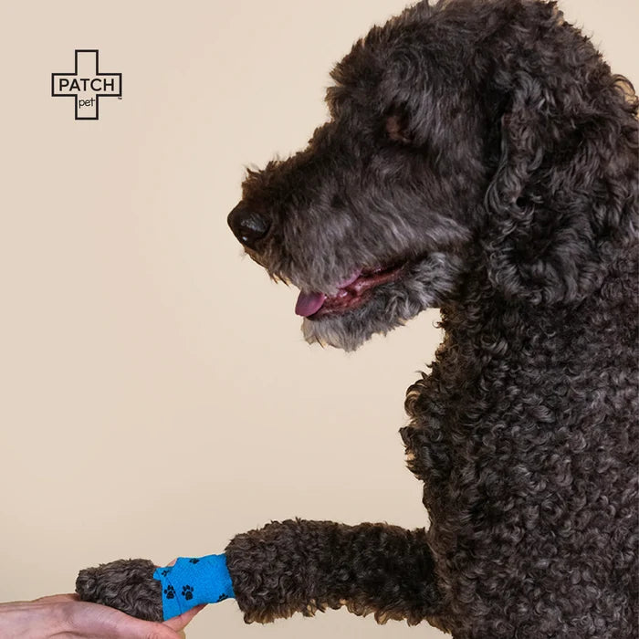 PATCH Pet Eco First-Aid Kit