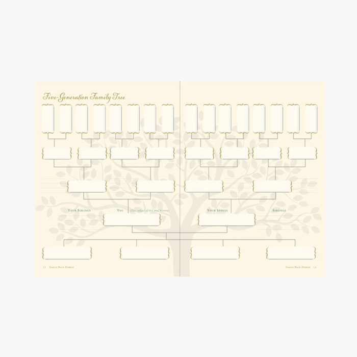 PETER PAUPER Guided Book - An Oral History: Preserve Your Family's Story