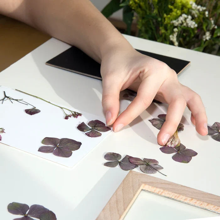 Pressed Flower Frame