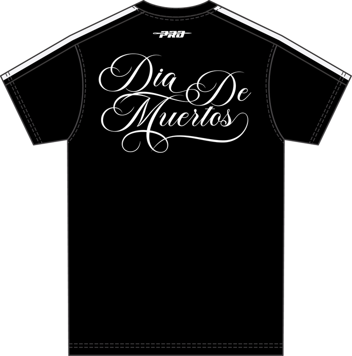 Black Las Vegas Raiders Sugar Skull Striped Tee with Pro Standard Logo