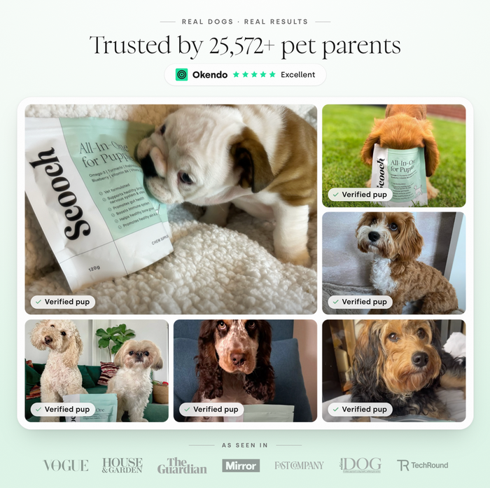 Puppy All-In-One
