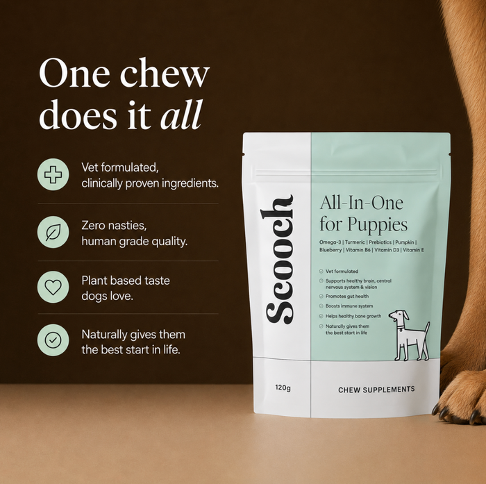 Puppy All-In-One