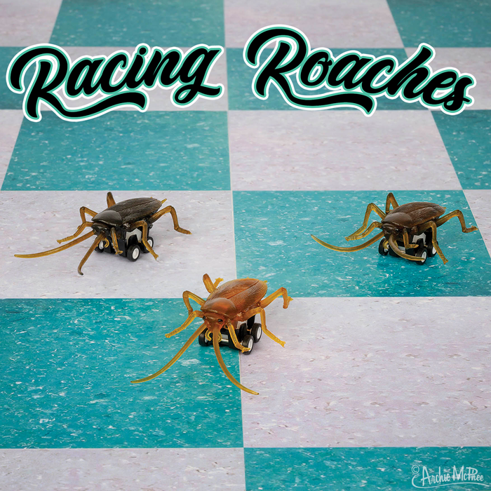 Under the striking text "Racing Roaches," three toy cockroaches on wheels scurry across a checkered board. Ideal for enthusiasts of speedy insects and the excitement of cockroach racing, these mini racers offer limitless fun.