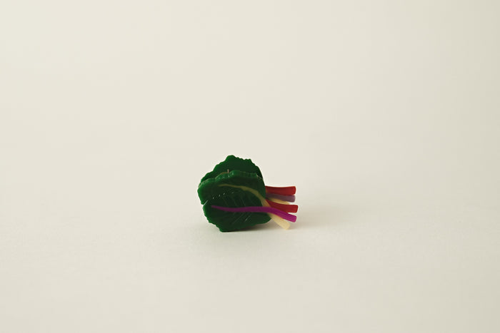 rainbow chard hair clip