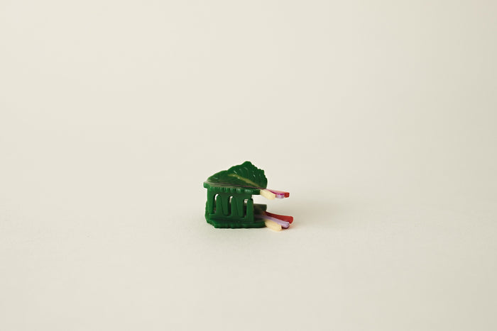 rainbow chard hair clip