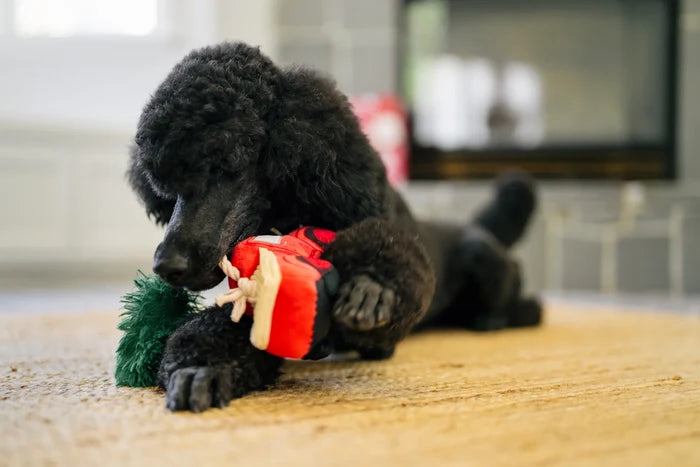 Red Truck with Tree Dog Toy