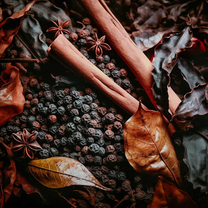 A photo of vanilla pods, spices, and leaves.