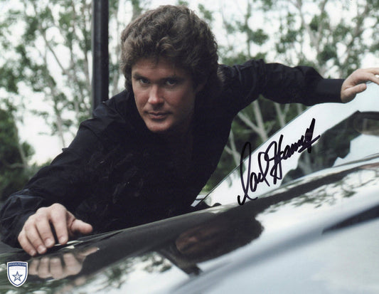 STOCK-DAVID-HASSELHOFF-006-11X14