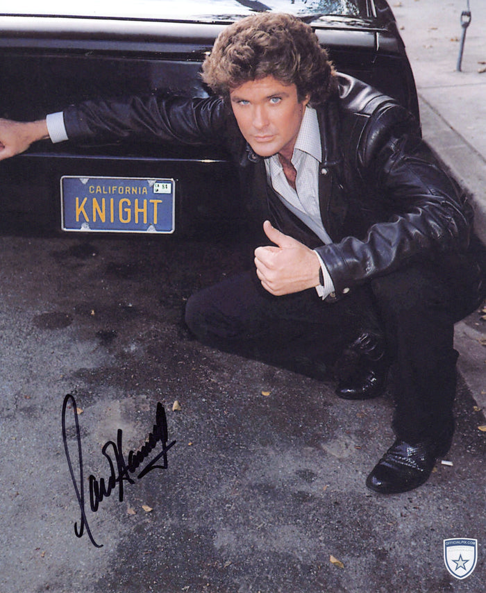 STOCK-DAVID-HASSELHOFF-007-11X14