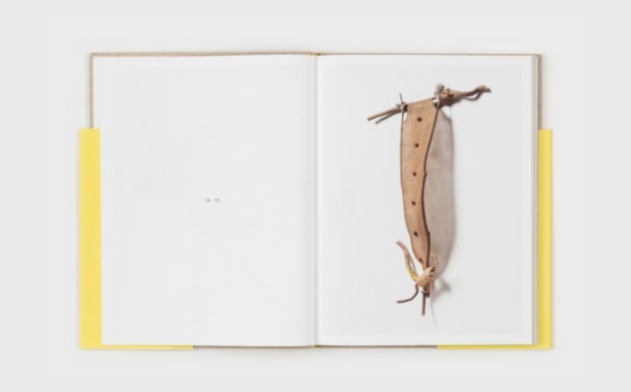 SVEN LUKIN - BRANCHES