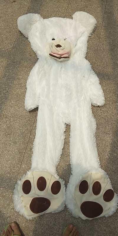 Teddy Bear Plush Toy