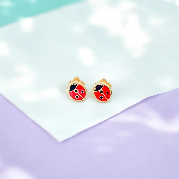 Ladybug