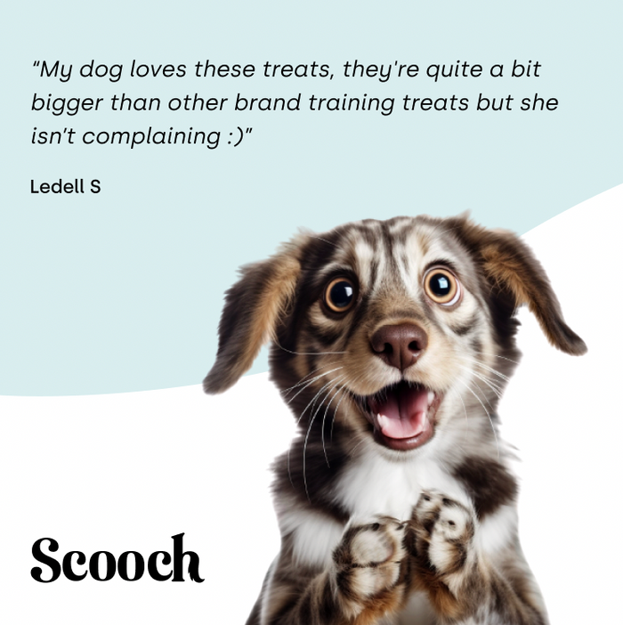 Training Treats