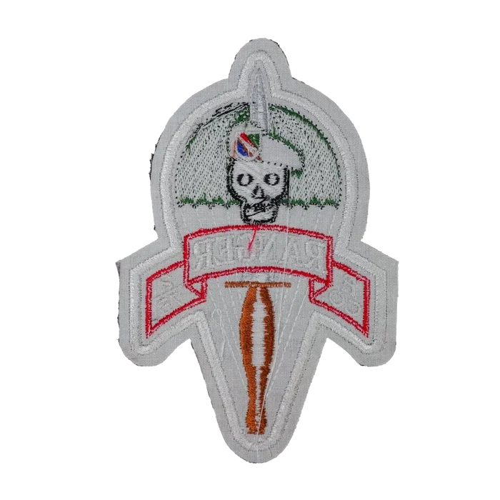 US Army B Company, 2nd battalion, 75th Ranger Regiment Patch - Army & Outdoors - Flags, Badges & Insignia