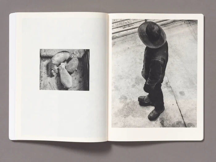 Vanessa Winship - Snow