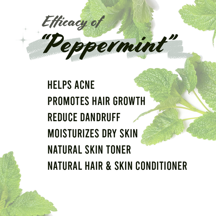 Well's Herb Dried Peppermint | 0.6 oz.