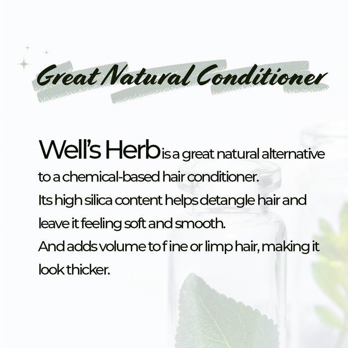 Well's Herb Dried Peppermint | 0.6 oz.