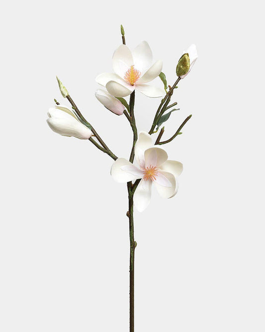 White Magnolia Tulip 20" - Magnolia Lane co. Home + Garden + Gift