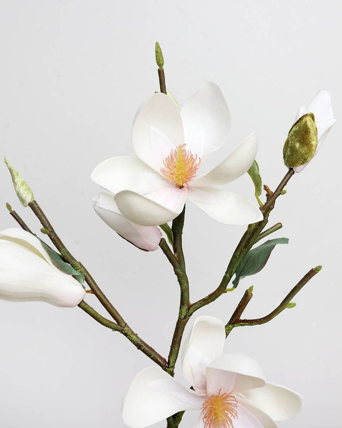 White Magnolia Tulip 20" - Magnolia Lane co. Home + Garden + Gift