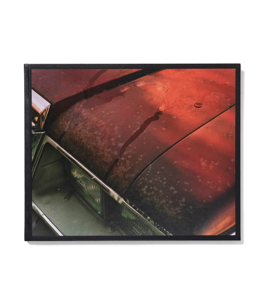 WINDSCREEN - PHIL JUNG