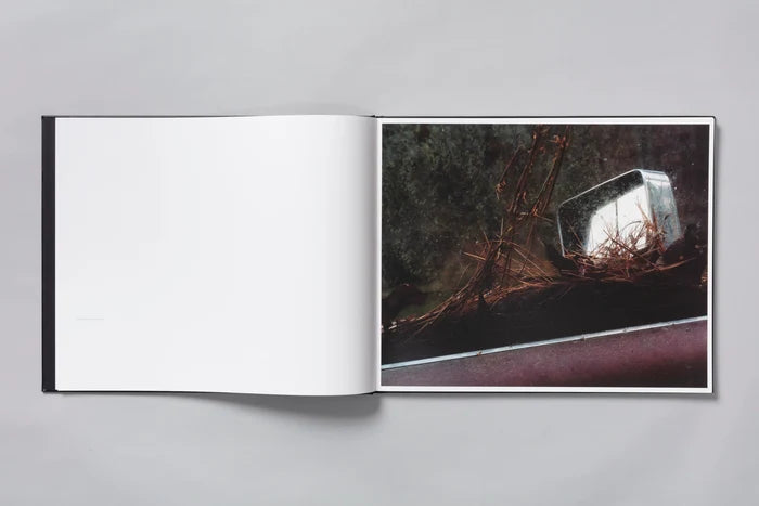 WINDSCREEN - PHIL JUNG